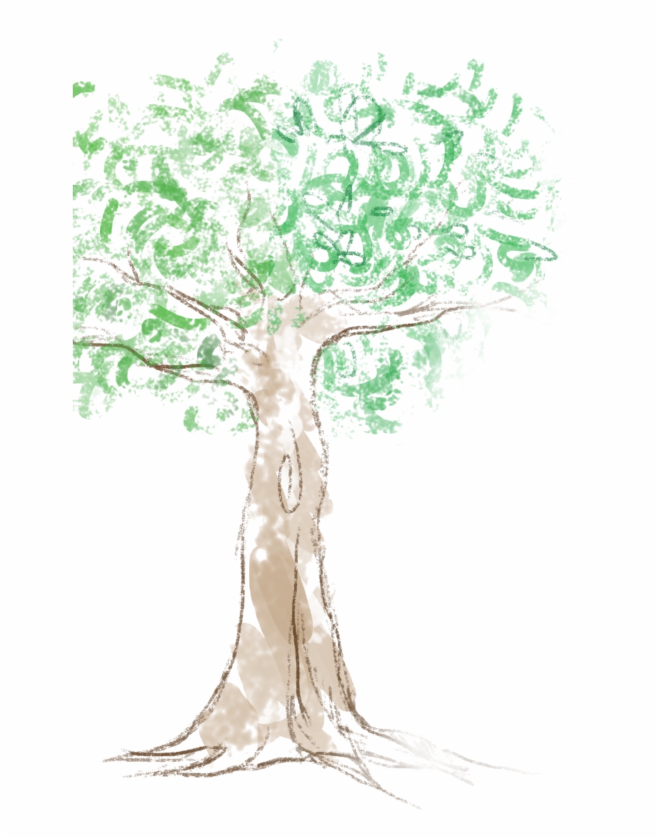 Chalk Drawn Tree Illustration