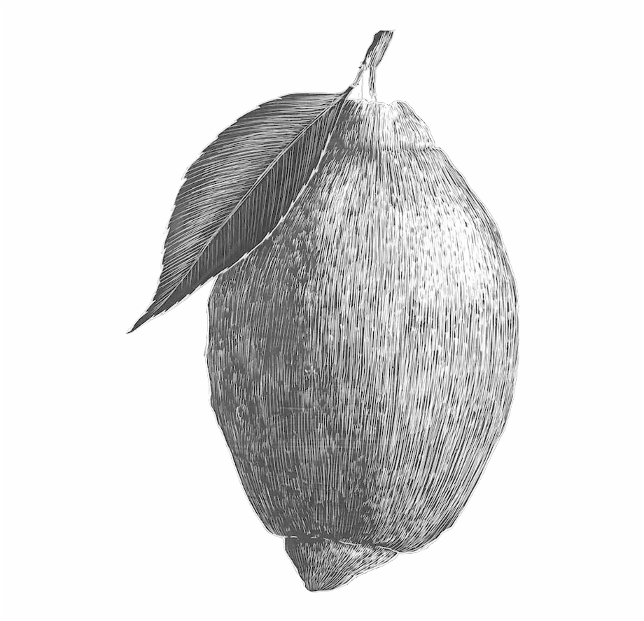 Lemon Starfruit