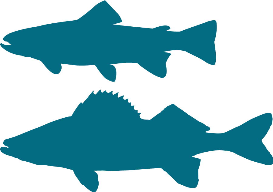 Walleye Vector Silhouette Blue Fish Silhouette Png