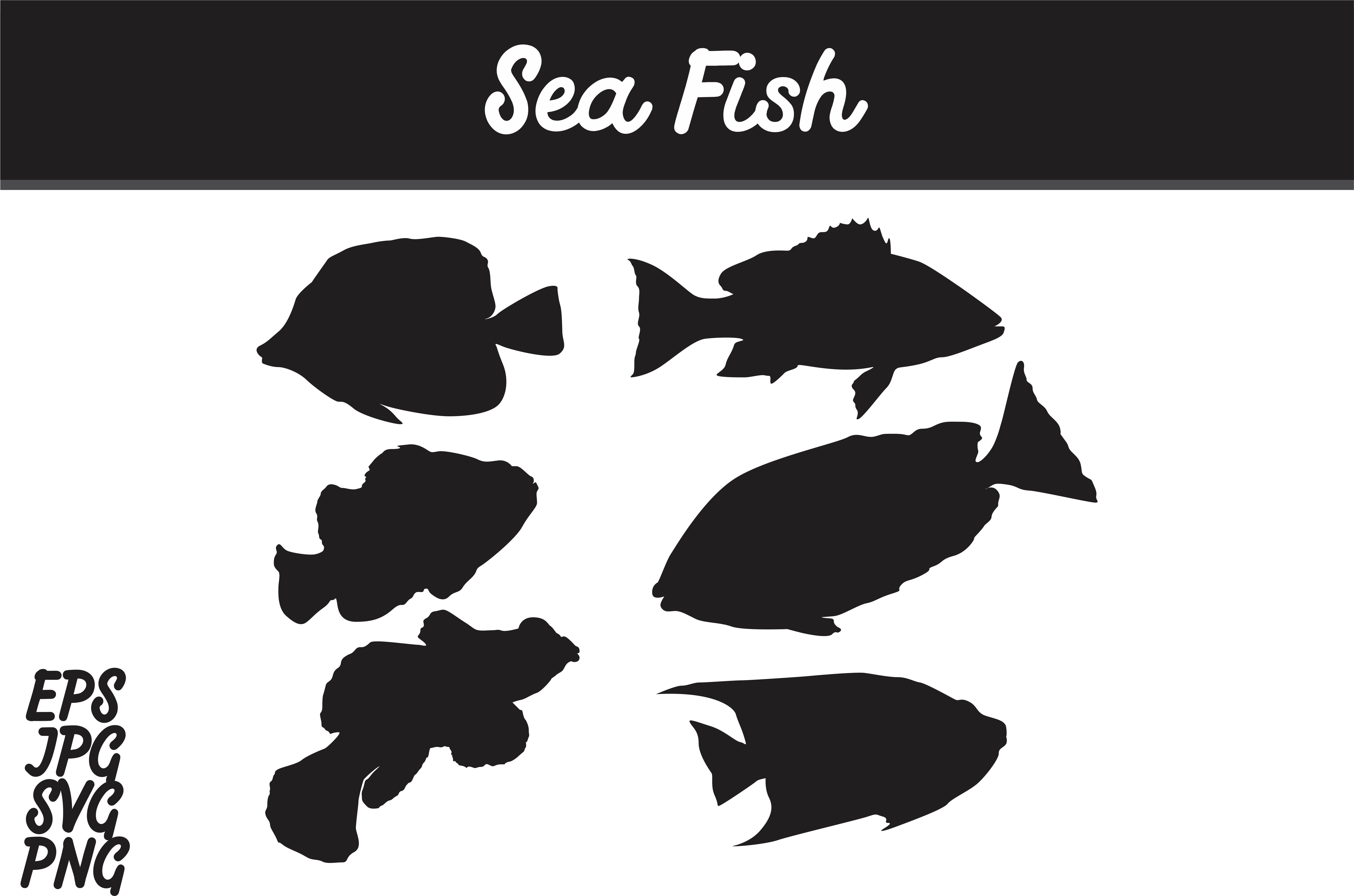 Sea Fish Silhouette Set Svg Vector Image Bundle