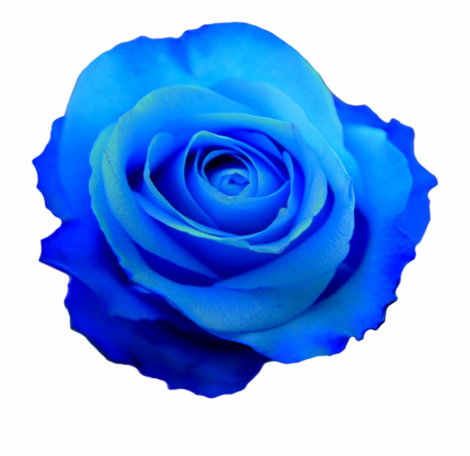 Transparent Blue Flower Crown Blue Flower Transparent Background