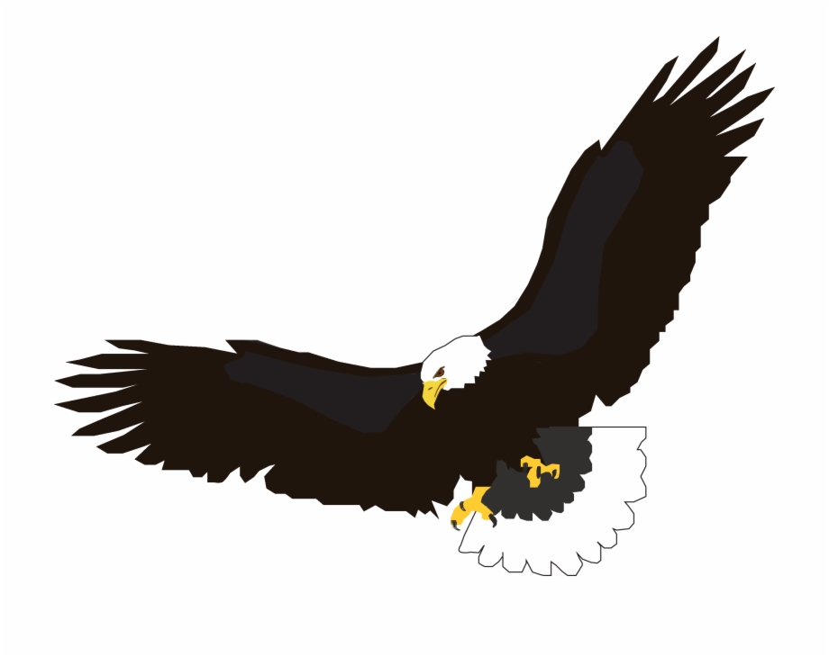 Flying Eagle Png Image Free Download Eagle Flying