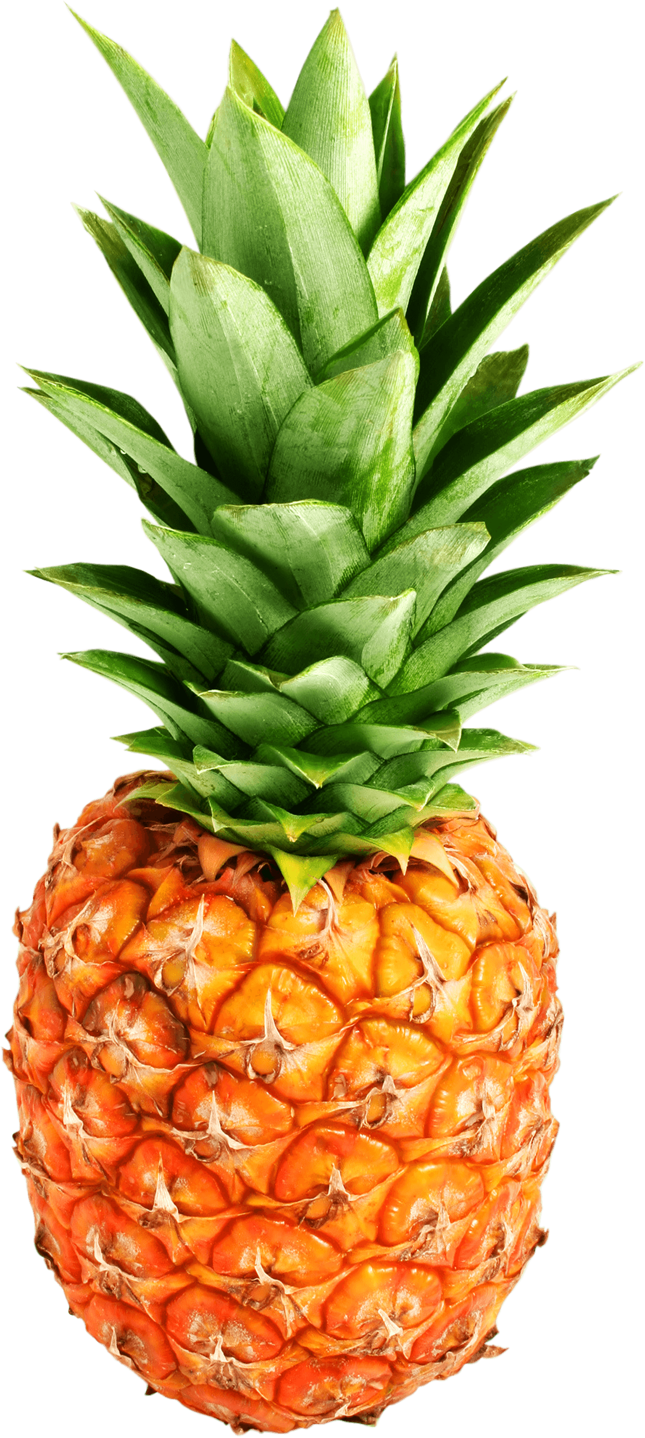 Descargar Pineapple Png