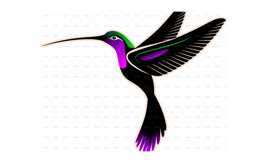 Drawn Hummingbird Png Transparent Hummingbird Transparent Logo
