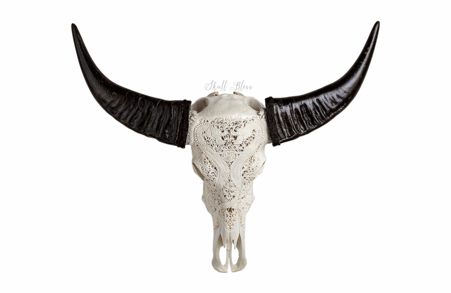 Carved Buffalo Skull Bull