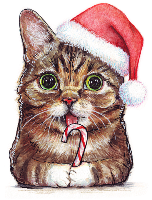 Image Lil Bub Cat With Christmas Hat Drawing