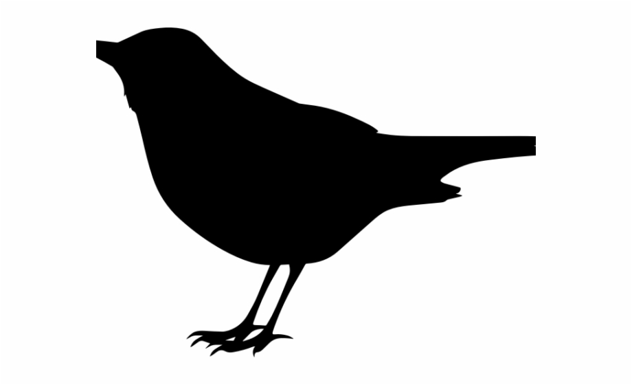 Blackbird Clipart Transparent Bird Clipart Black