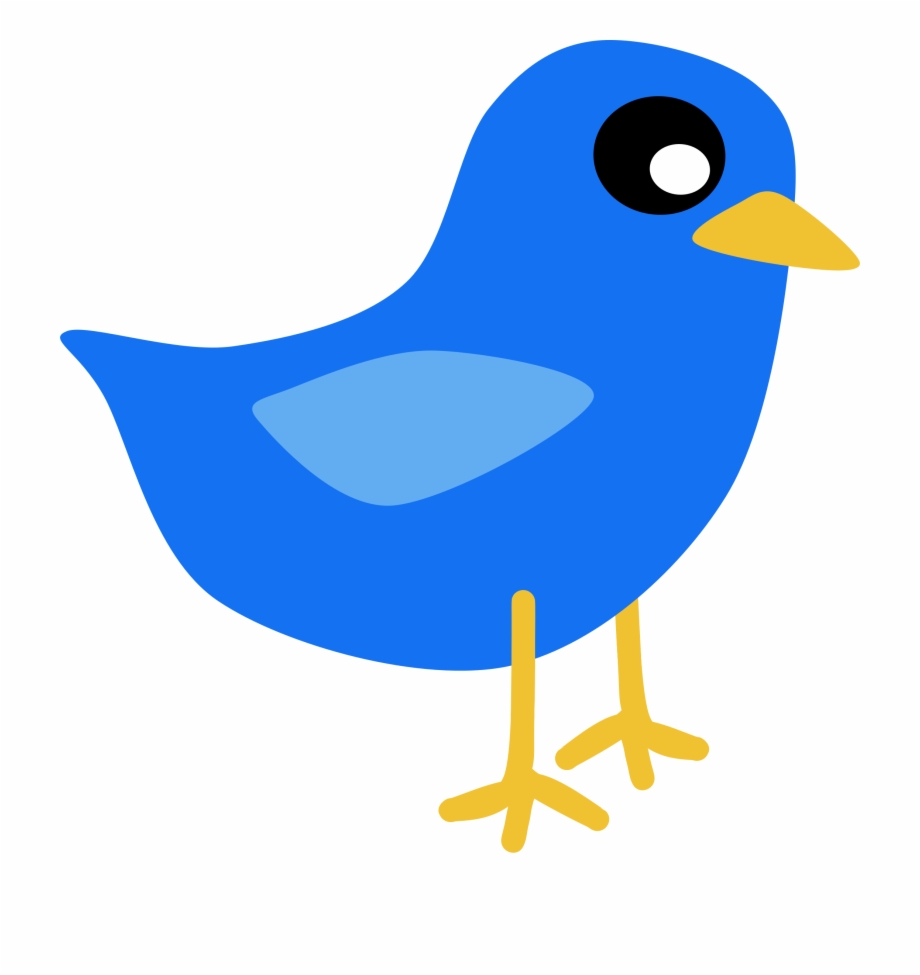 Fat Blue Bird Drawing / John Airo