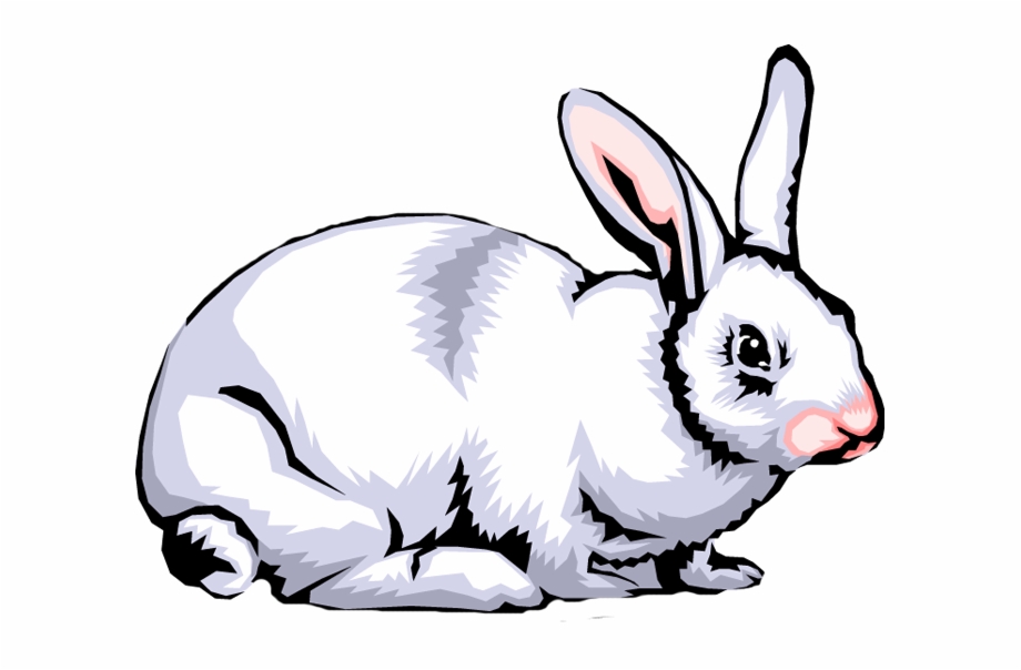 Rabbit Clip Art Images Free Clipart Png Clip