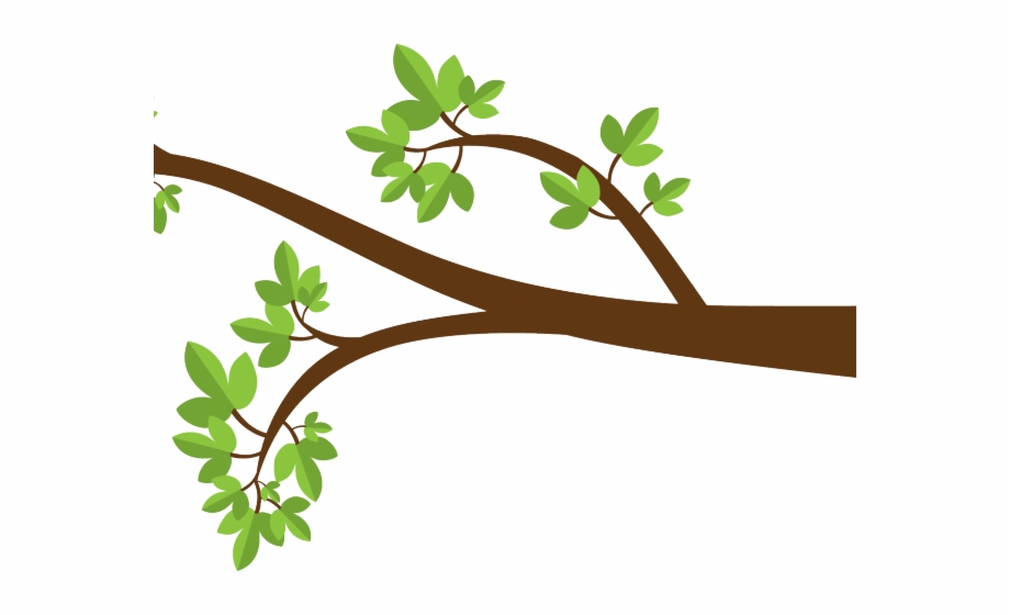 Branch Clipart Long Tree Branch Clipart Png