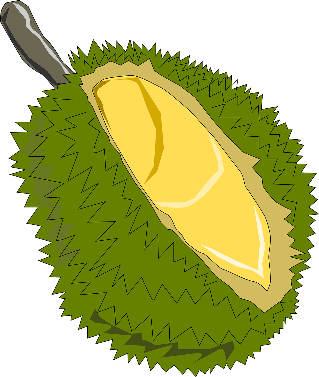 Jackfruit Fruit Exotic Soursop Png Image Durian Clipart