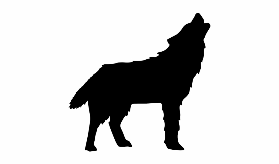 Wolf Alpaca Black And White Png