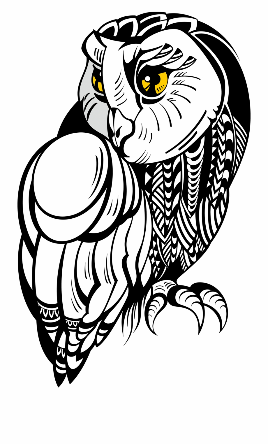Owl Tattoo Drawing Illustration Stock Free Hq Image