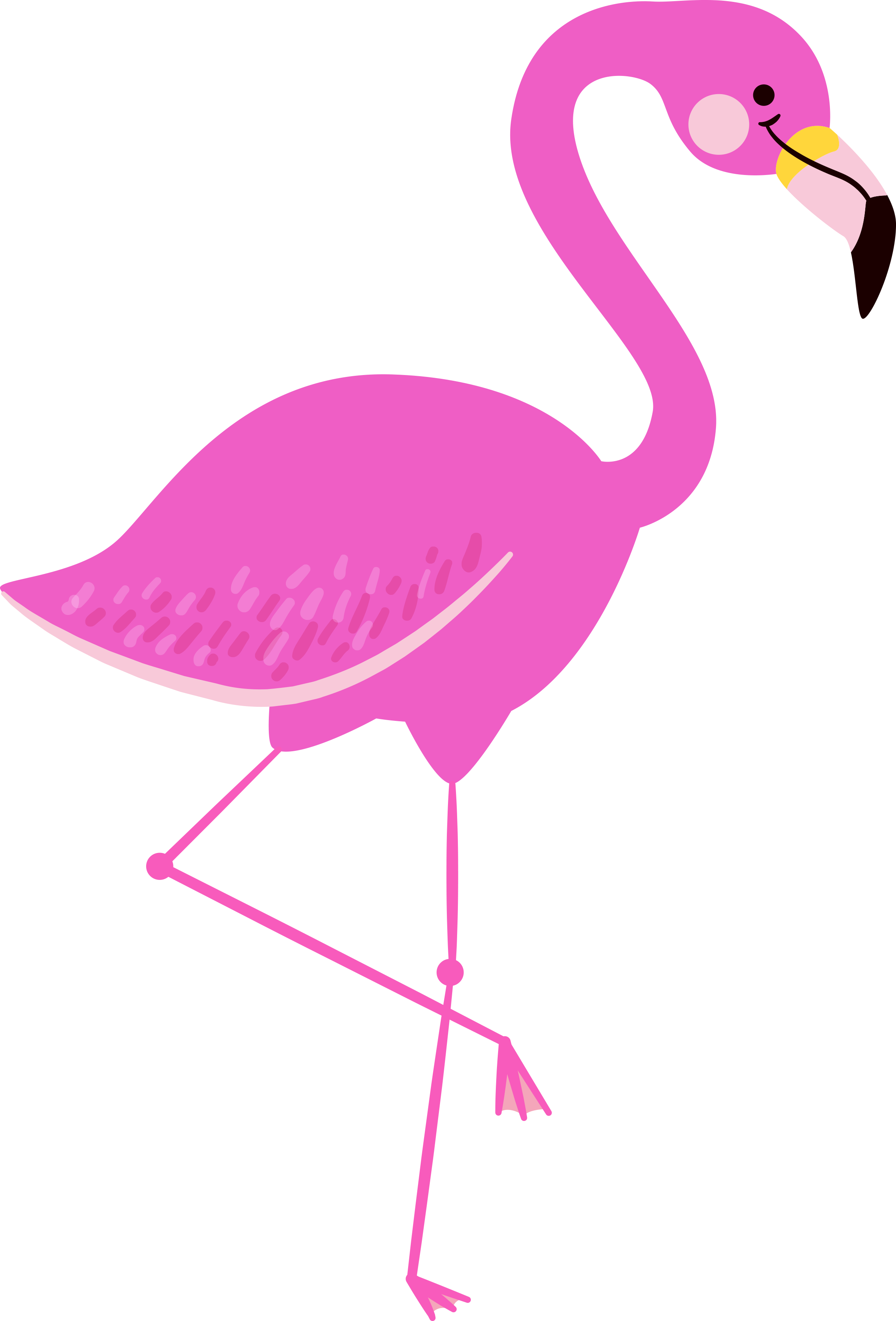 Free Summer Fun Clipart Flamingo Clipart Free