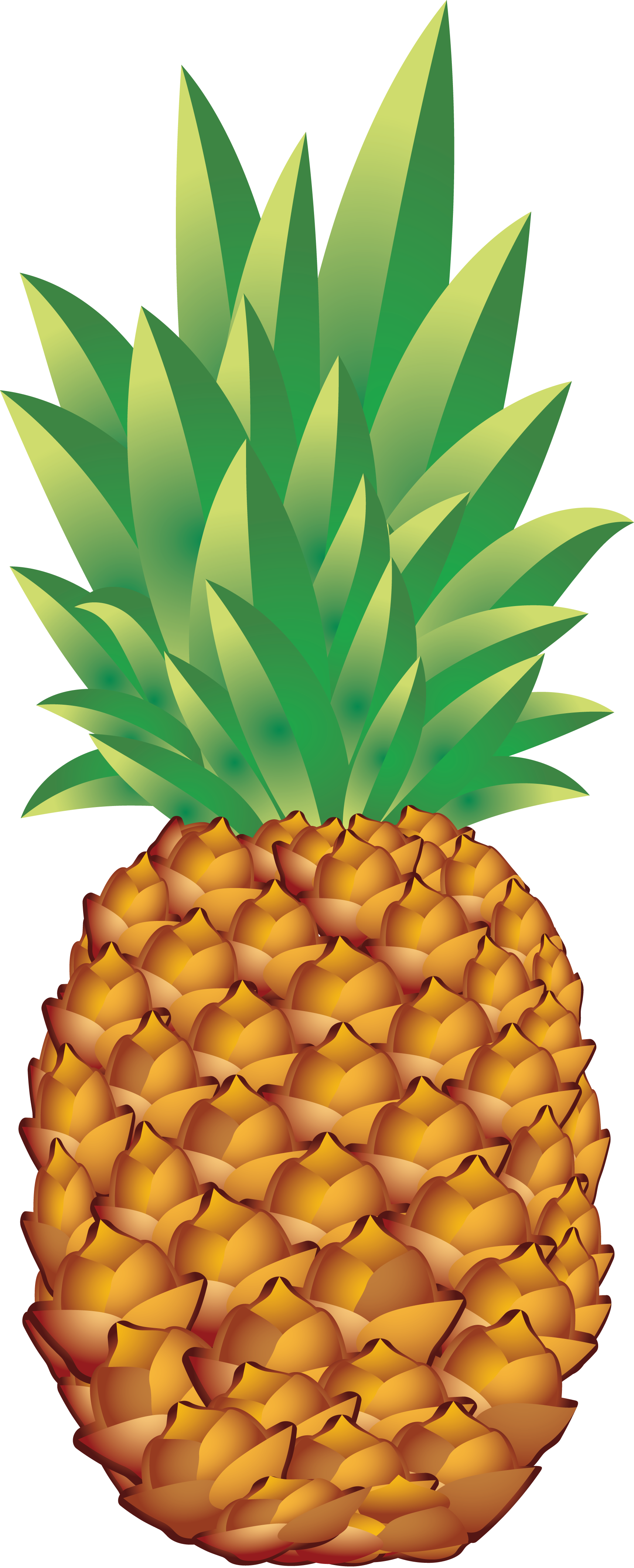 Pineapple Png Vector Clipart Image Pineapple Clipart Transparent