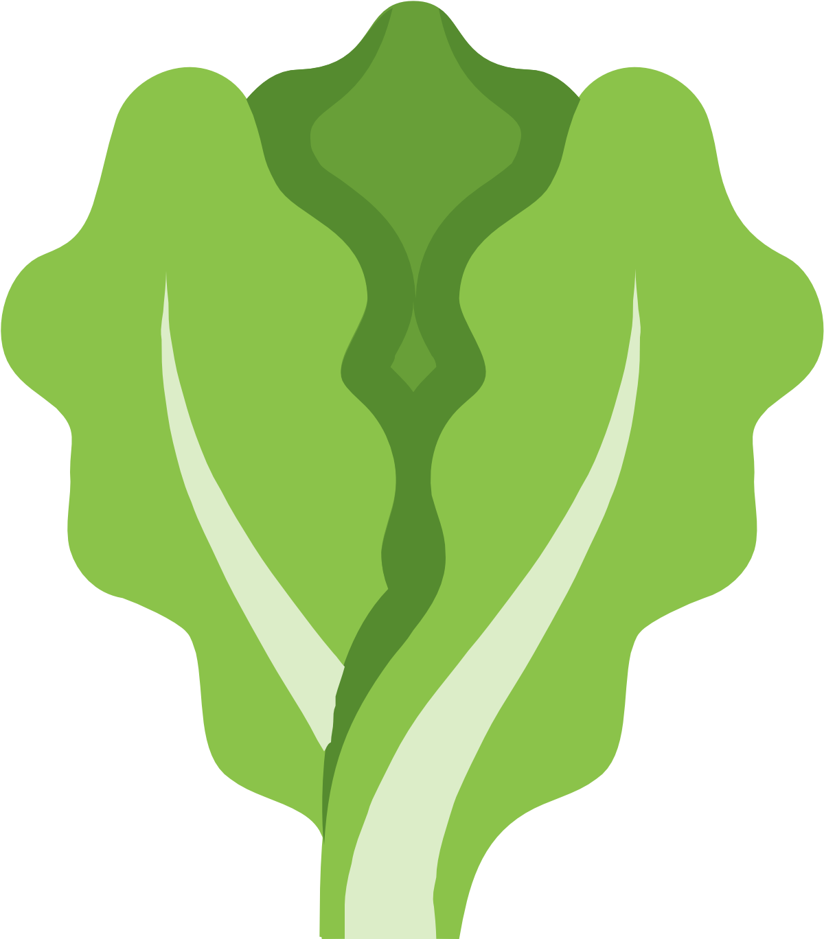 Lettuce Clipart Outline Lettuce Icon Png
