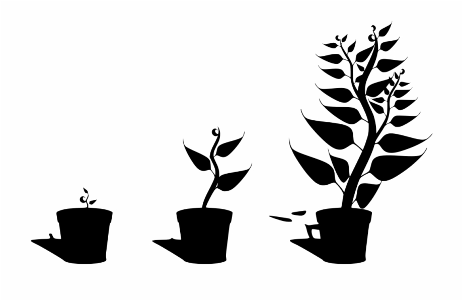 Download Png Getting To Know Plants
