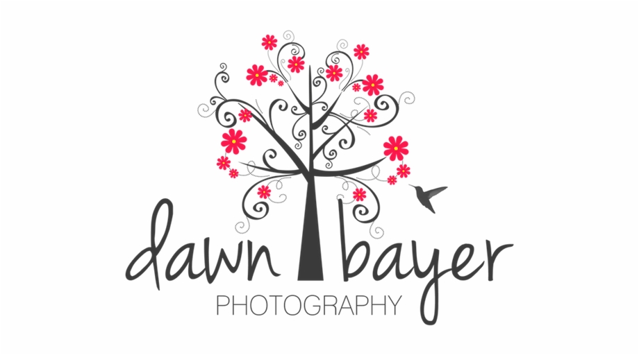 Dawn Bayer Photography Logo Photography