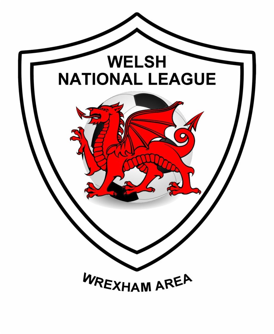 Welsh National League Reserves Division Dragon Saint David