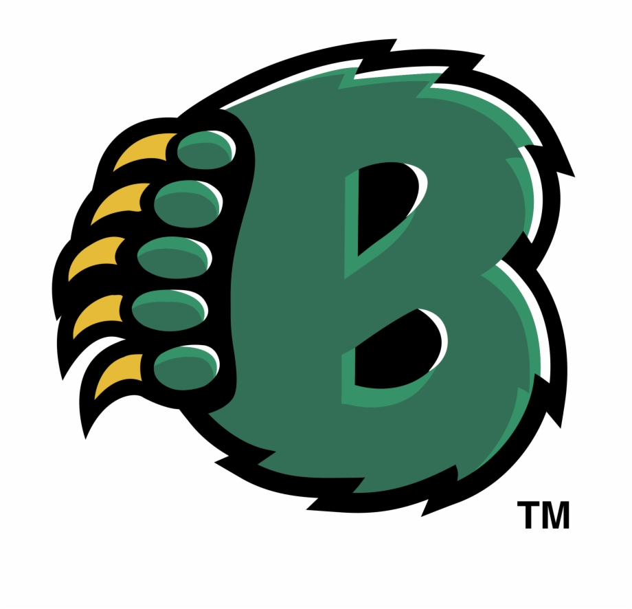 Baylor Bears 04 Logo Png Transparent Baylor Bears