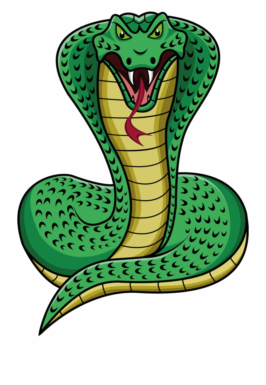 Snake Cartoon png download - 800*800 - Free Transparent Slitherio png  Download. - CleanPNG / KissPNG