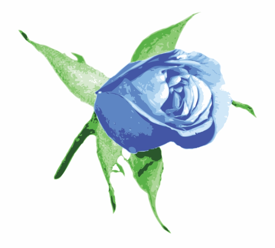 Blue Rose Flower Computer Icons Blue Roses Free