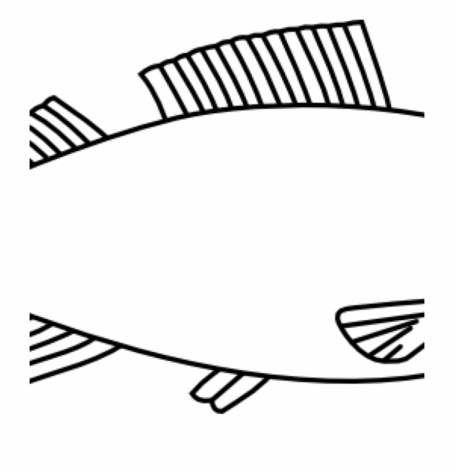 Fish Clipart Outline Easy Long Fish Drawings Fish