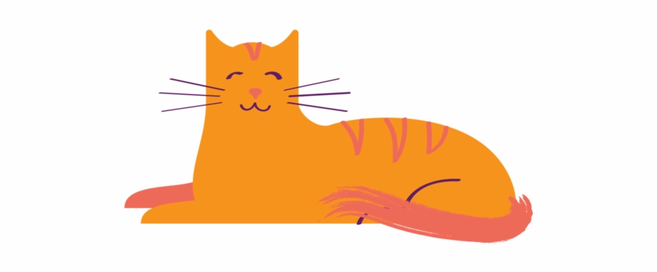Orange Cat Cat Yawns