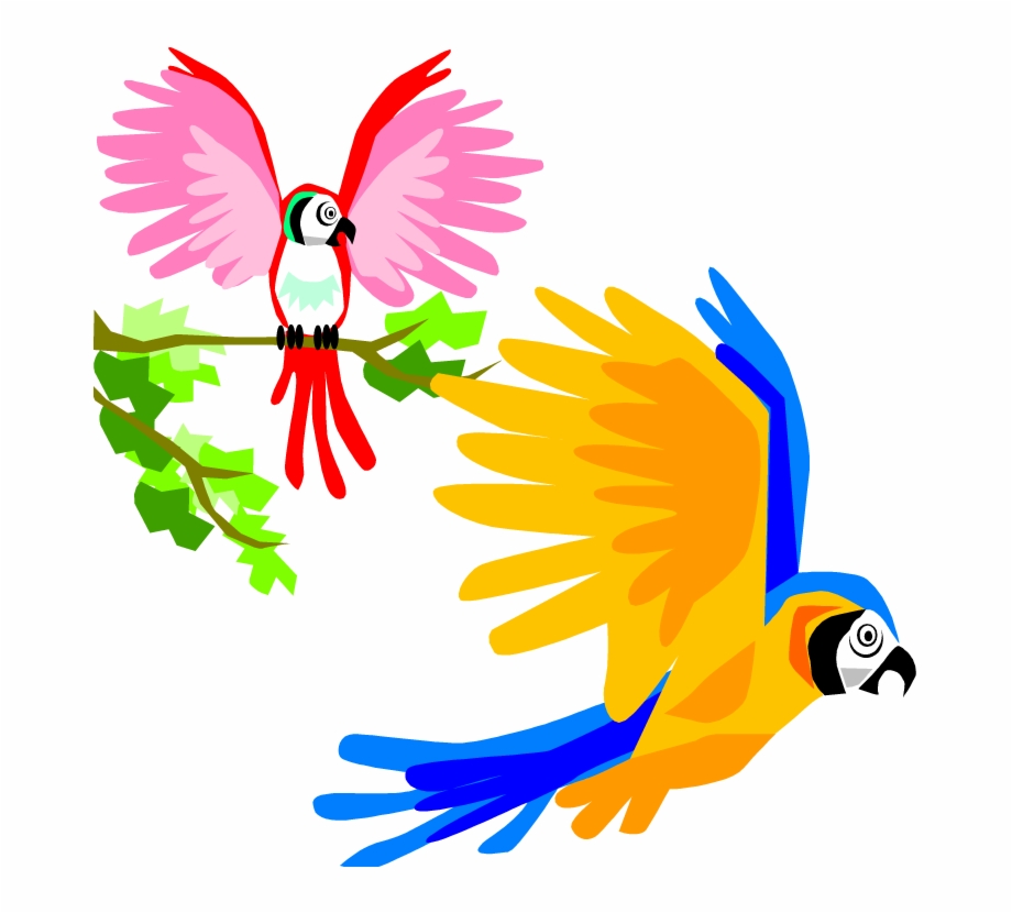 Parrot Clipart Colourful Parrot Colorful Birds Flying Clipart