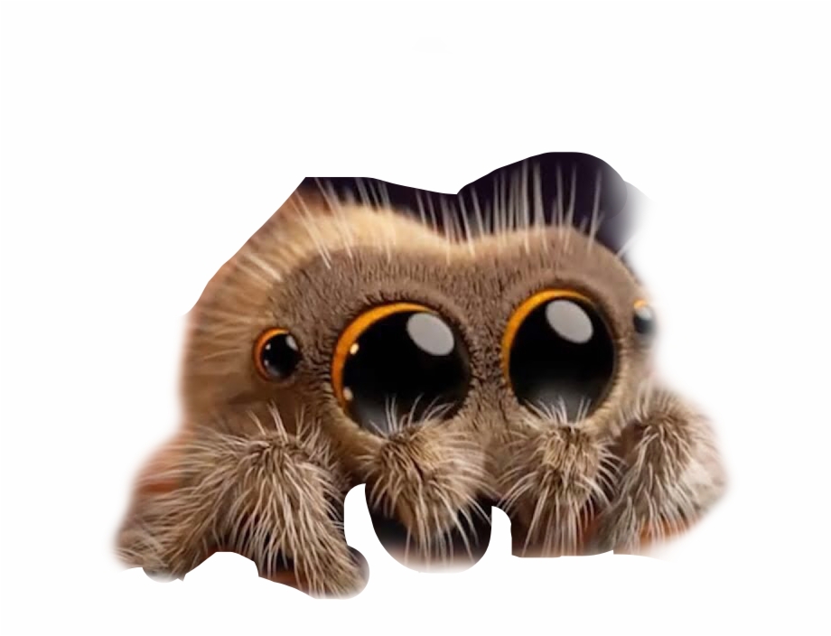 Cute Spider Freetoedit Luca The Spider
