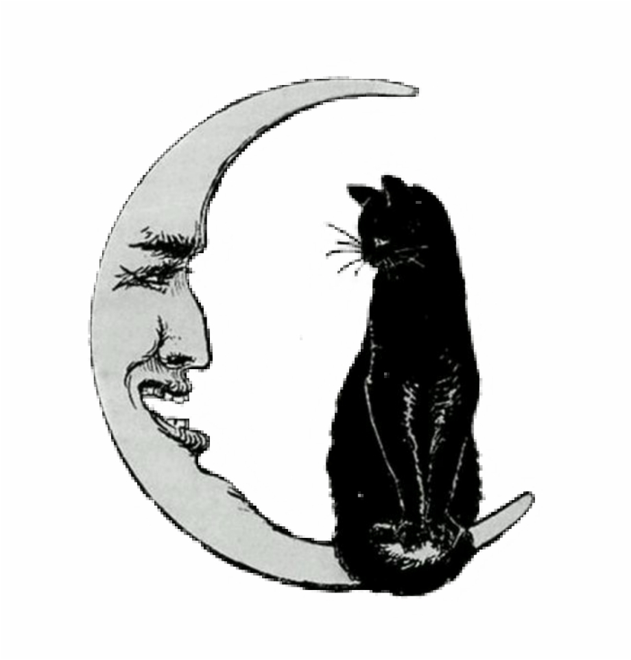 Halloween Png Vintage Cat On The Moon