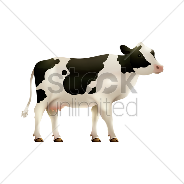 Cow Vector Png Dairy Cow