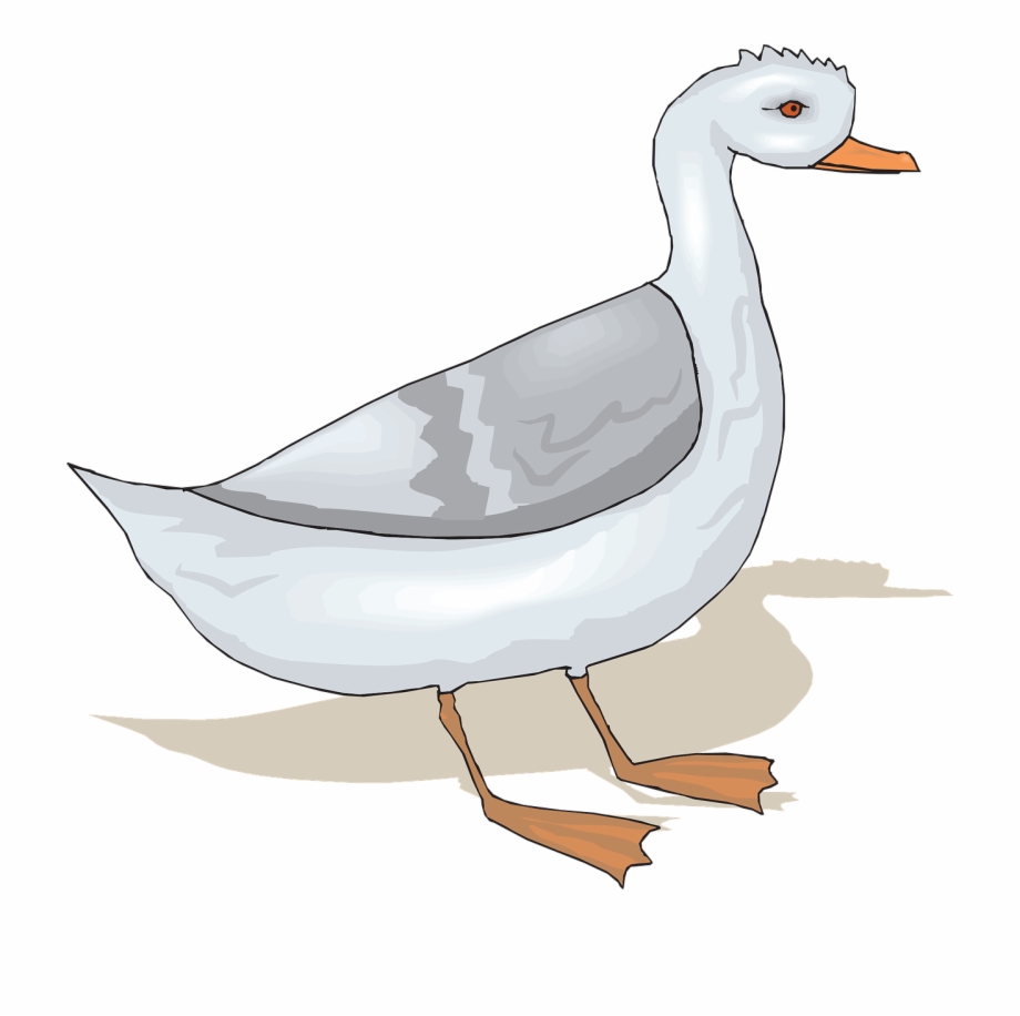 Bird Wings Standing Goose Png Image Goose Png - Clip Art Library