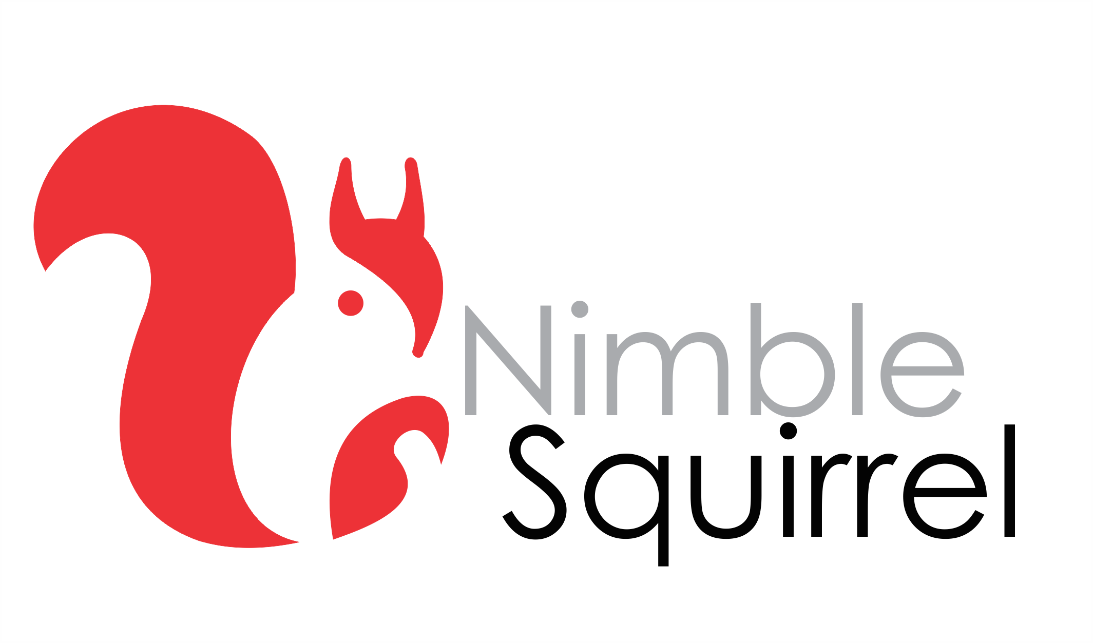Behavioral Insights Through Mini Surveys Nimble Squirrel