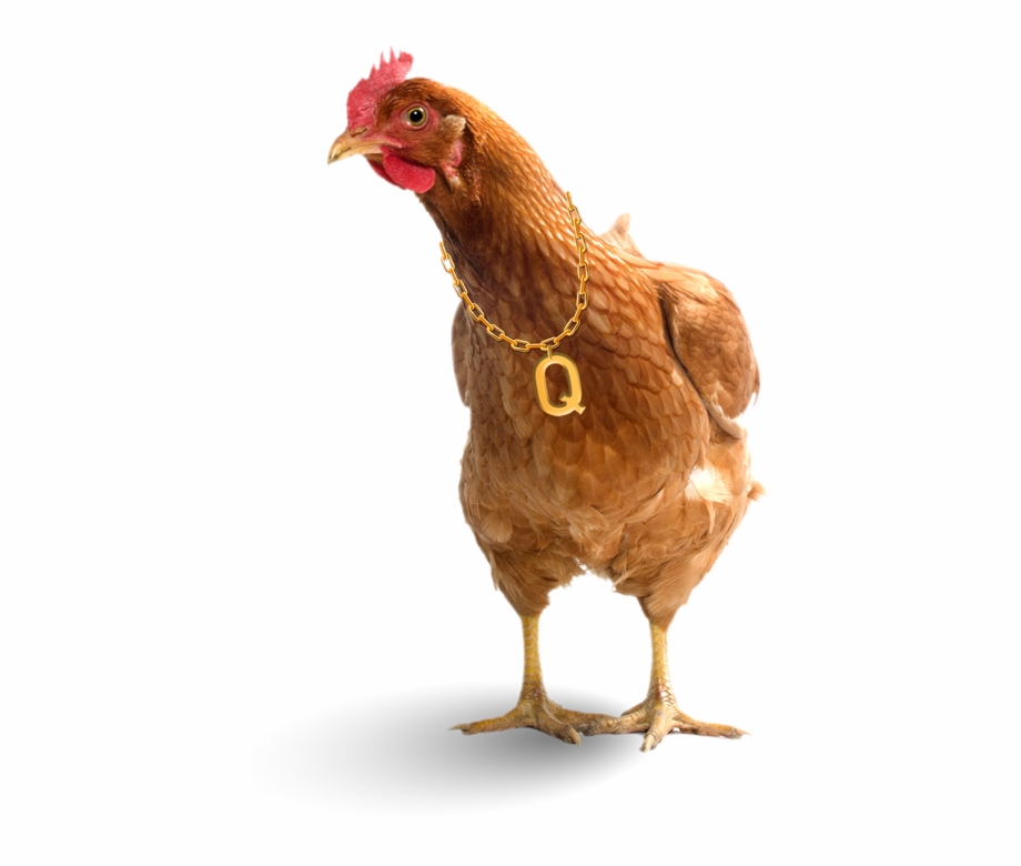 Igg Software Chicken Question