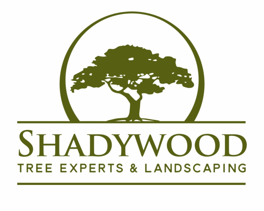 Shadywood Logo Tree Landscape Logo