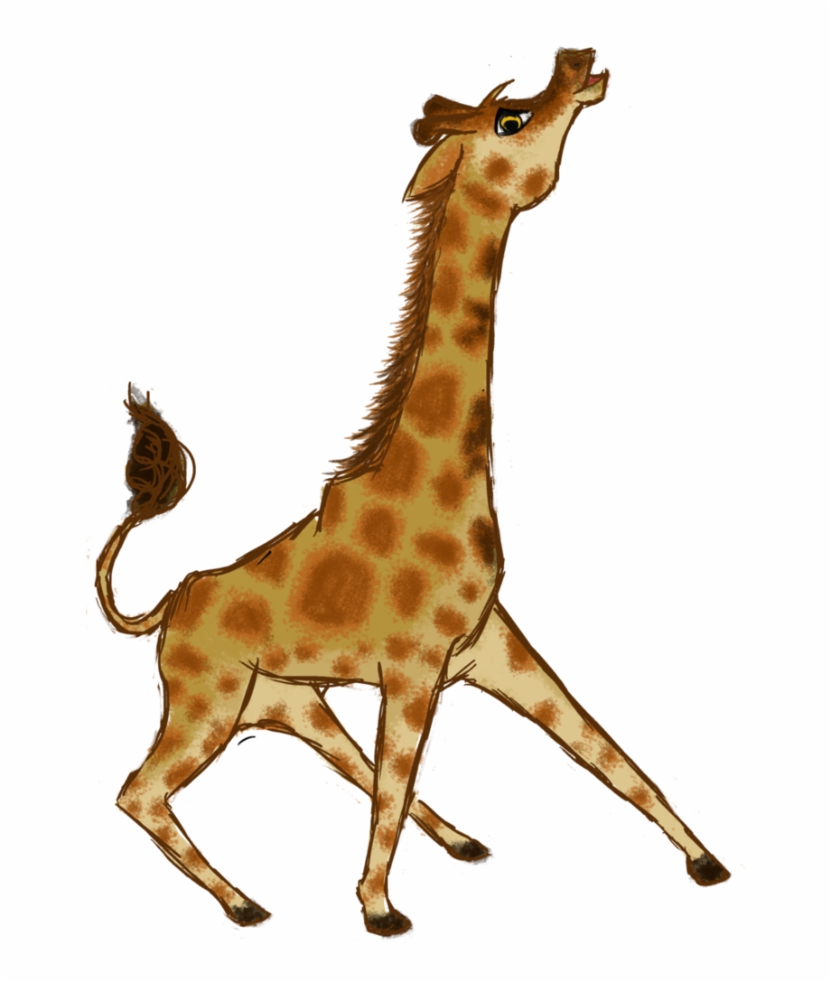 Giraffe Png Download Giraffe