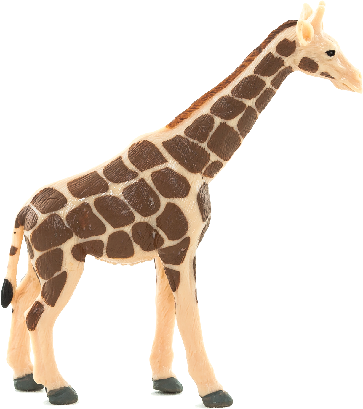 Download Png Image Report Translucent Background Giraffe