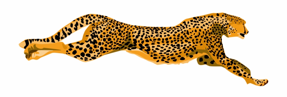 Cheetah Png Cheetah Clipart
