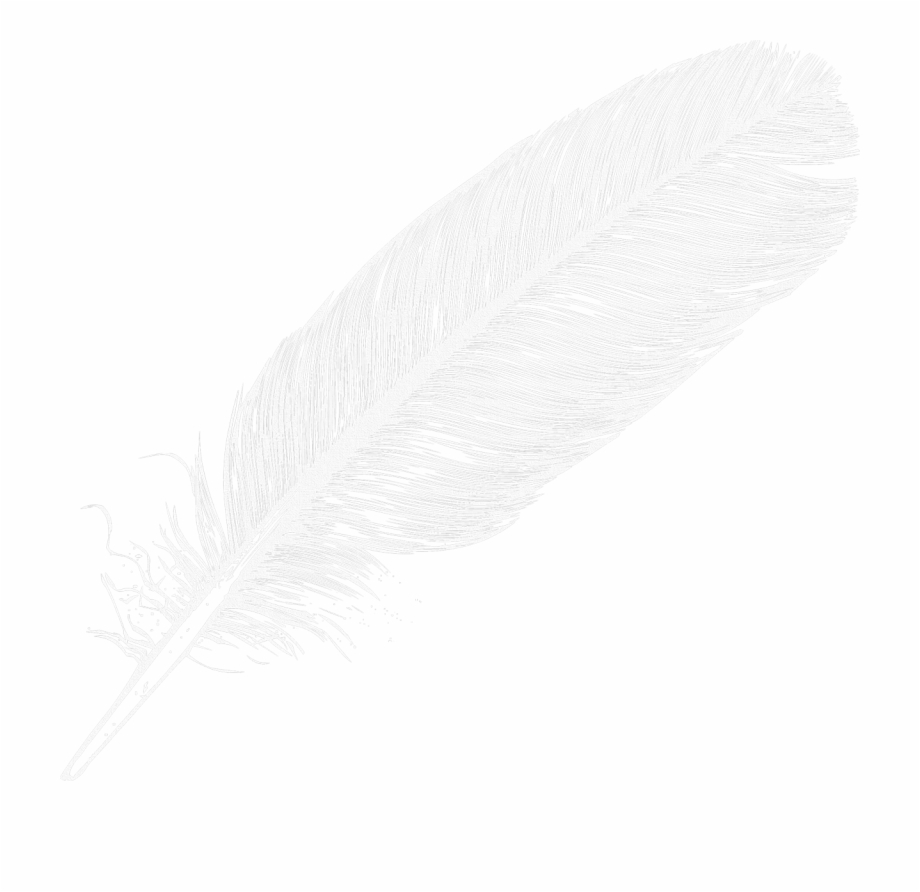 Large White Transparent Feather Png Clipart White Feather