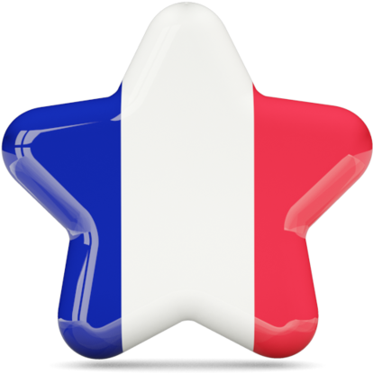 France Flag Icons For Windows French Star Flag