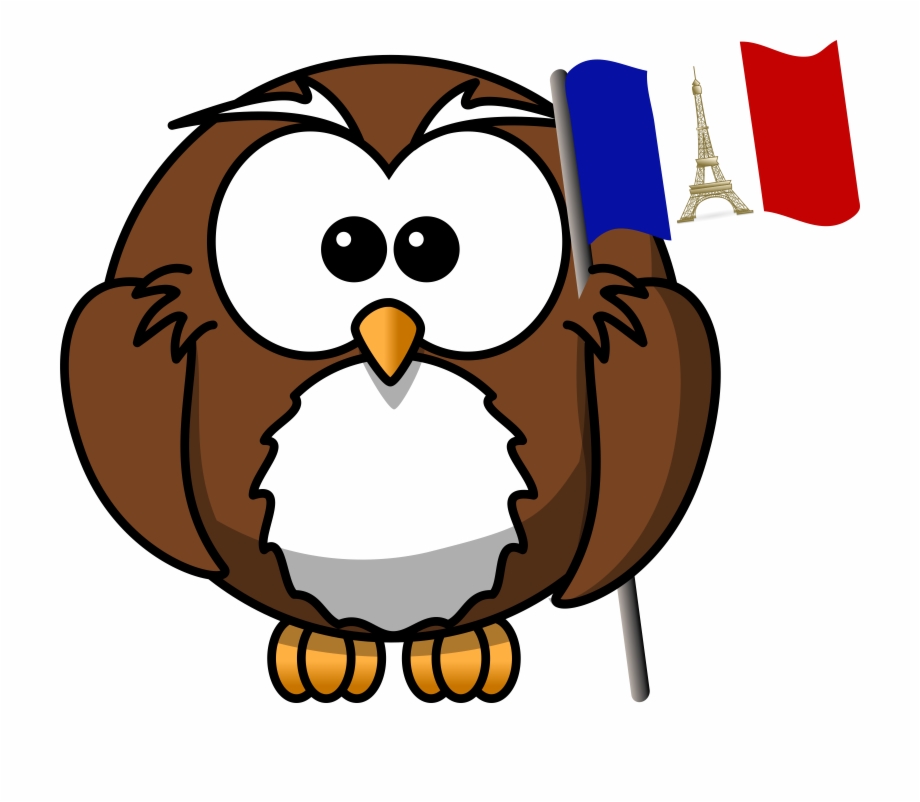 France Flag Clipart Cartoon Owl With Hat Cartoon