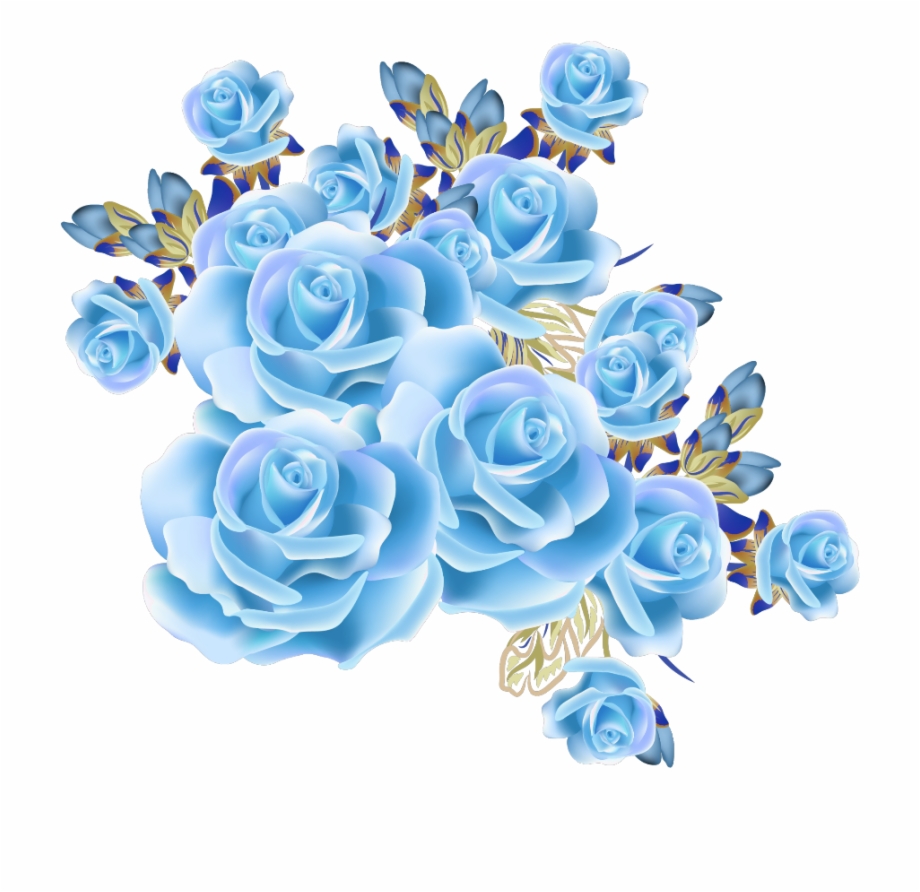 Mq Blue Rose Roses Flowers Flower