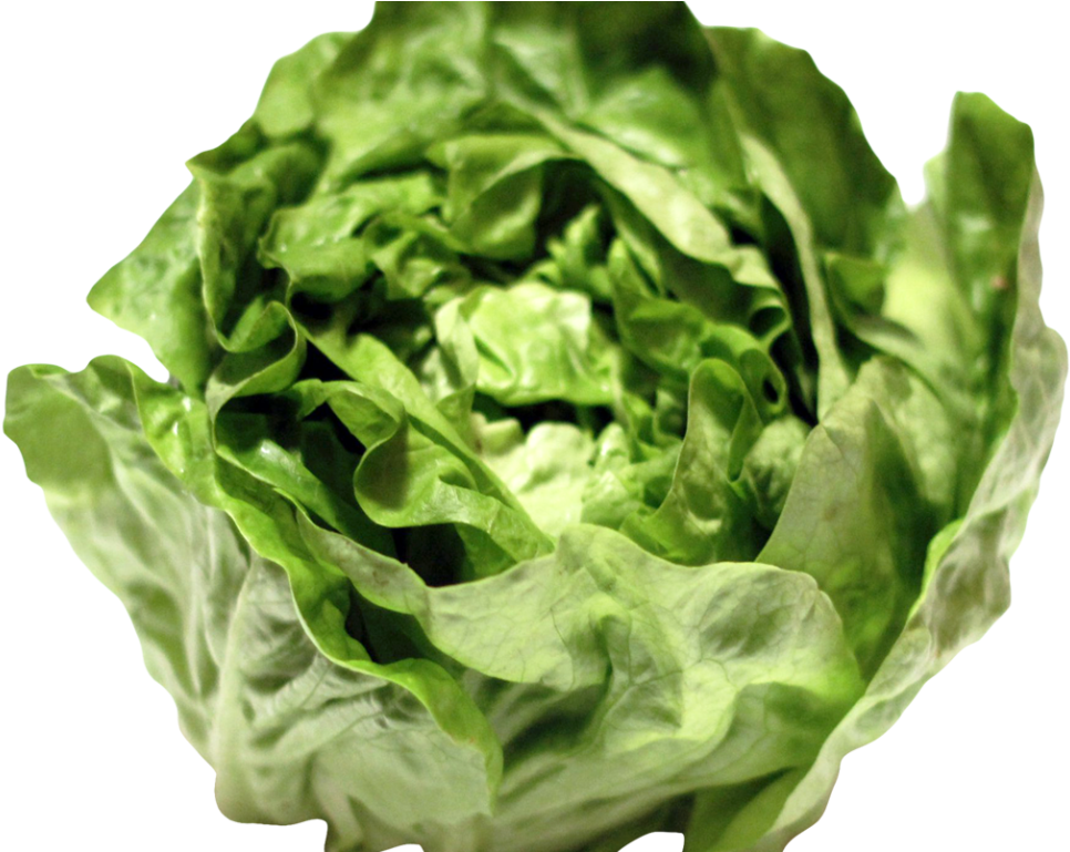Greek salad Lettuce sandwich Clip art Portable Network Graphics - salad ...