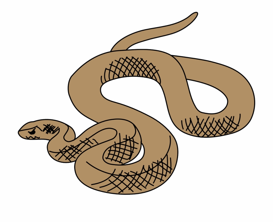 Vector Graphics Brown Tree Snake Clip Art
