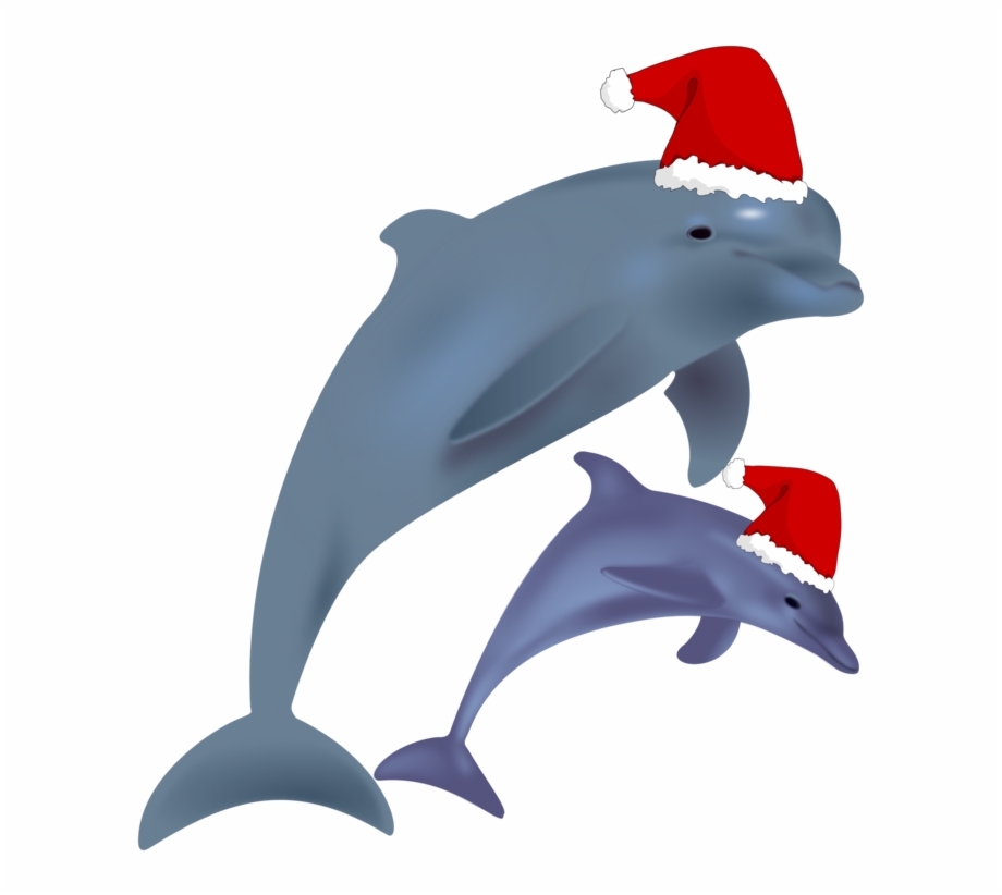Common Bottlenose Clip Dolphin With Christmas Hat