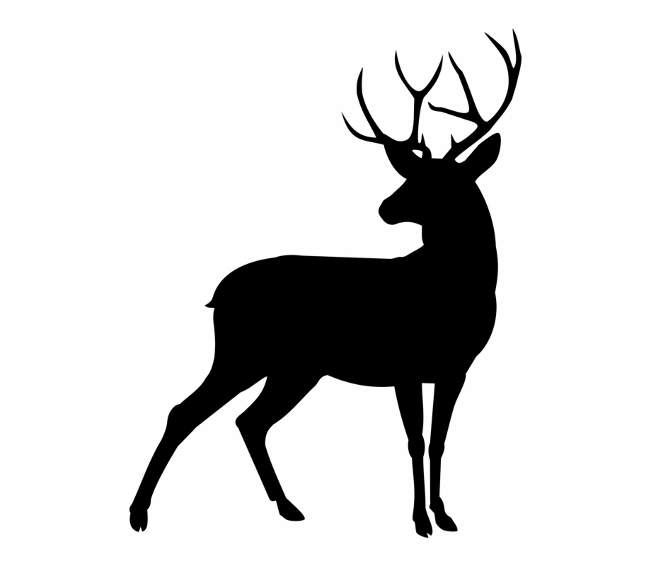Animal Deer Plume Deer Silhouette