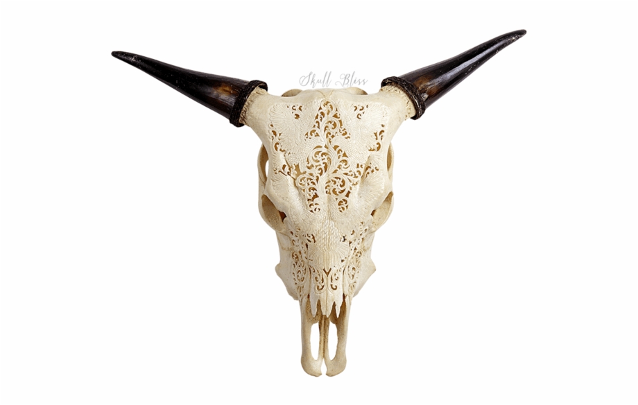 Cow Transparent Clipart Free Horn