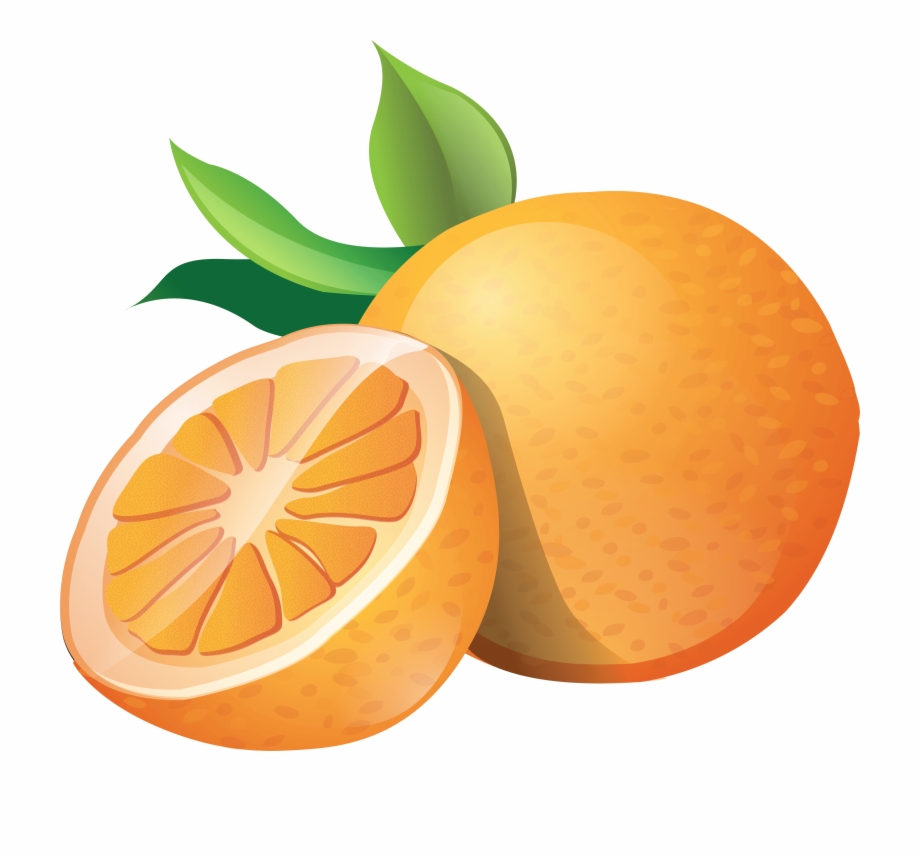 Orange Vector Mandarin Orange Clipart Transparent