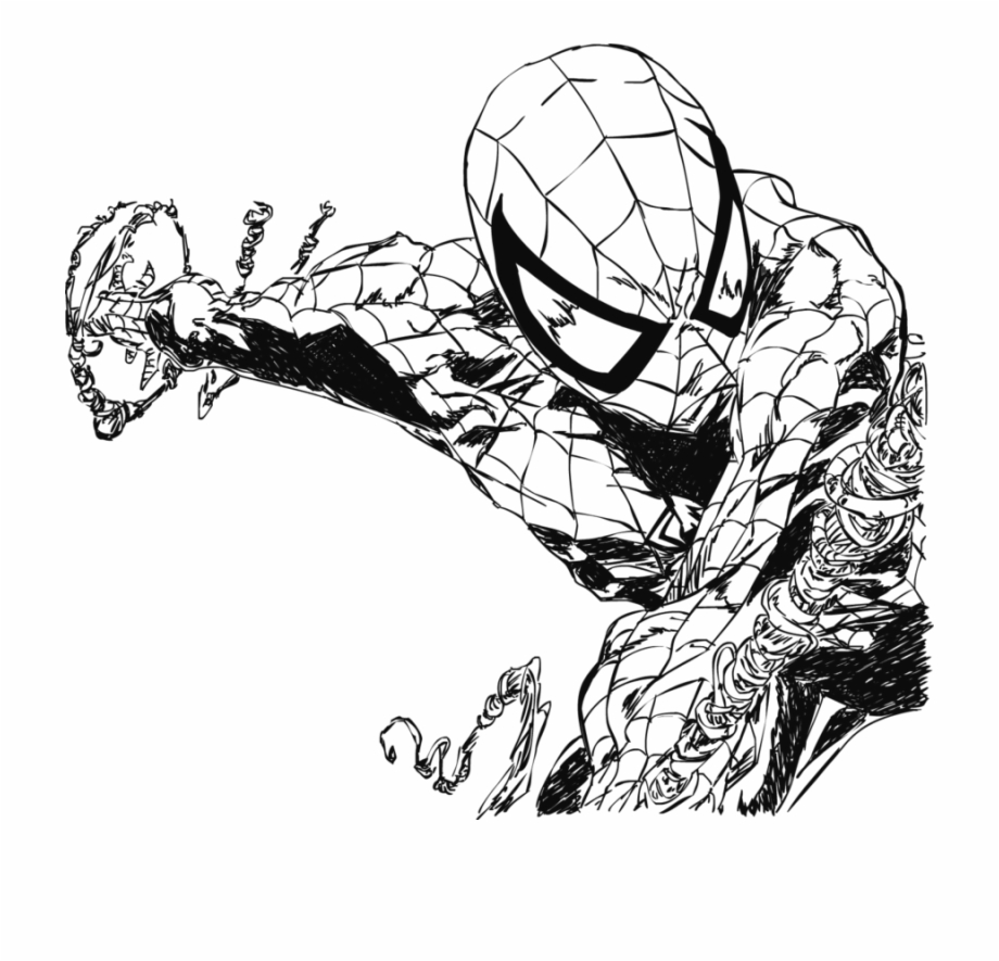 By Electric Meat Spider Man Web Drawing